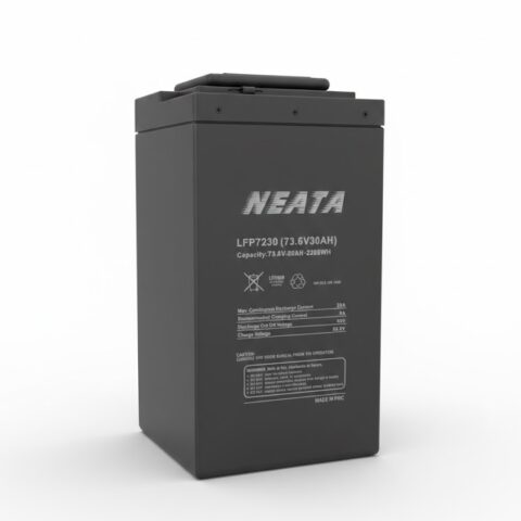 Neata Lithium LiFePO4 73.6V 30Ah